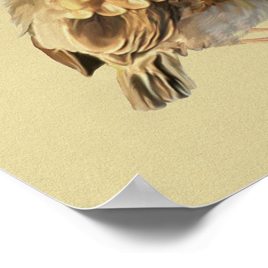 Poster Blackbird Fledgling` in Sun (Coin)