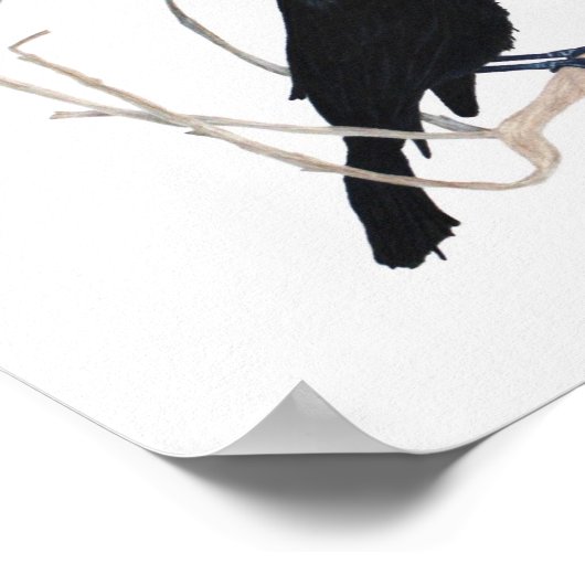 Poster Blackbird Inspiration Print (Coin)