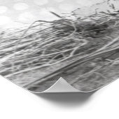 Poster Blackfoot Brave, près de Calgary (Alberta), 1889 (Coin)