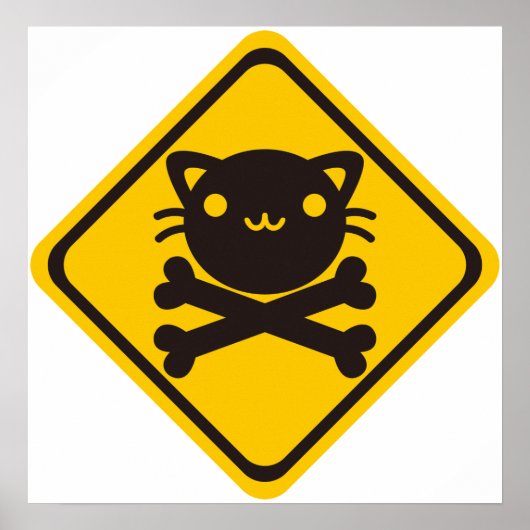 Poster BlackJack(Chat) (Devant)