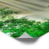 Poster Blackwater Falls, Virginie-Occidentale (Coin)