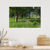 Poster Blackweir Woods, Bute Park, Cardiff Wales (Cuisine)