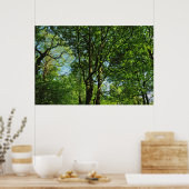 Poster Blackweir Woods, Bute Park, Cardiff Wales (Cuisine)