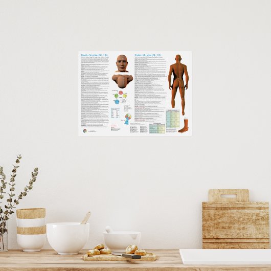 Poster Bladder Meridian Acupuncture Points (Cuisine)