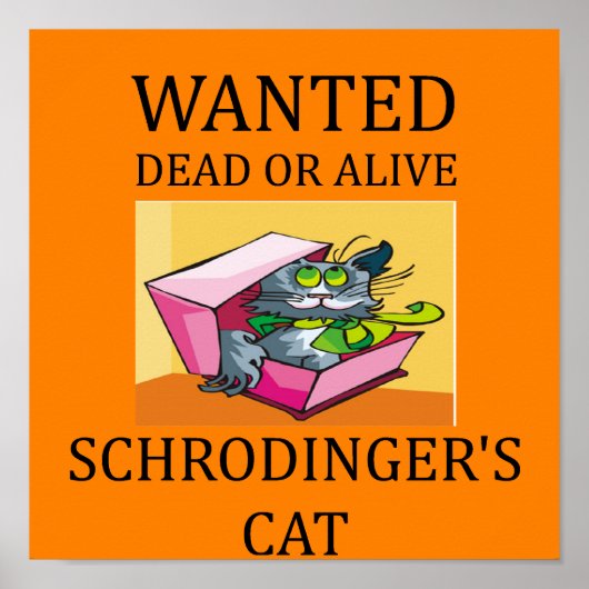Poster blague de chat de schrodinger (Devant)