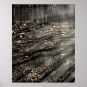 Poster Blair Witch....là-bas ! (Devant)