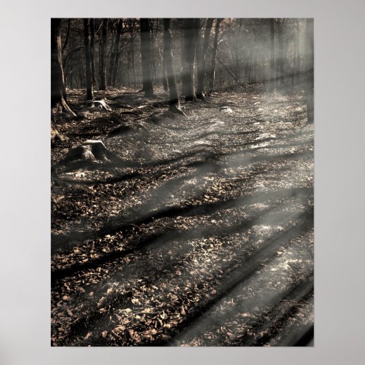 Poster Blair Witch....là-bas ! (Devant)