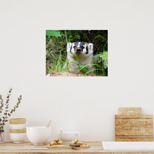 Poster blaireau (Cuisine)