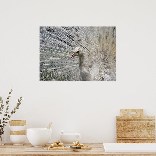 Poster Blanc (Cuisine)