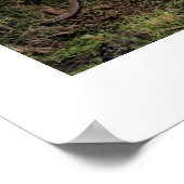 Poster blanc (18" x 24") Ubud Bike Bali (Coin)