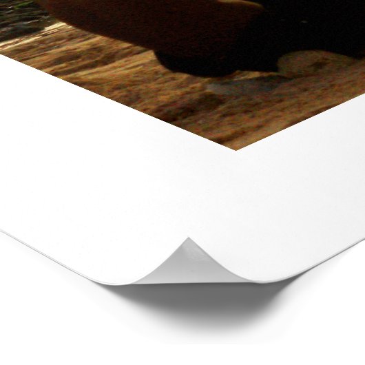 Poster blanc (24"x18") Padang Beach Bali (Coin)