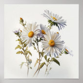 Poster blanc Aster Flower Art (Devant)