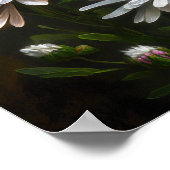 Poster blanc Aster Flower Art (Coin)