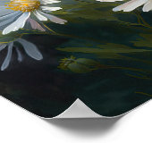 Poster blanc Aster Flower Art (Coin)