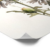 Poster blanc Aster Flower Art (Coin)
