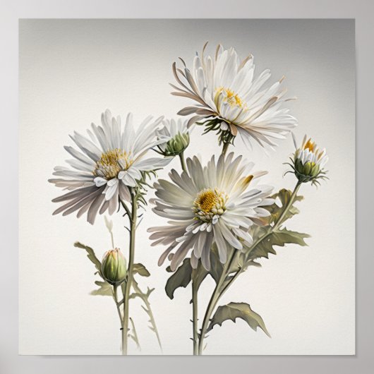 Poster blanc Aster Flower Art (Devant)