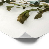 Poster blanc Aster Flower Art (Coin)