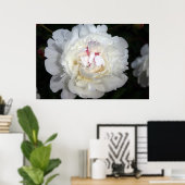 Poster Blanc Avec Une Touche De Couleur (Bureau à domicile)