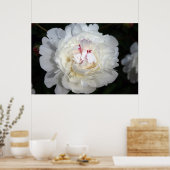 Poster Blanc Avec Une Touche De Couleur (Cuisine)