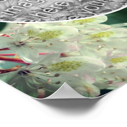 Poster Blanc Azalea Fleurs Cadre Ajouter Votre Photo (Coin)