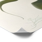 Poster Blanc Calla Lilies Lily Art à la floraison Imprime (Coin)