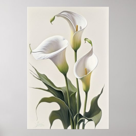 Poster Blanc Calla Lilies Lily Art à la floraison Imprime (Devant)