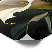 Poster Blanc Calla Lilies Lily Art à la floraison Imprime (Coin)