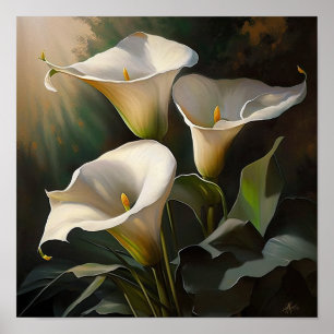 Poster Blanc Calla Lilies Lily Art à la floraison Imprime