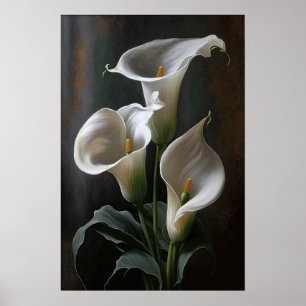 Poster Blanc Calla Lilies Lily Art à la floraison Imprime