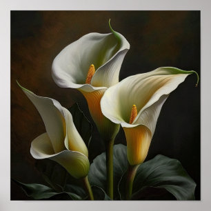 Poster Blanc Calla Lilies Lily Art à la floraison Imprime