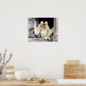 Poster blanc Cheeked Gibbon (2264) (Cuisine)