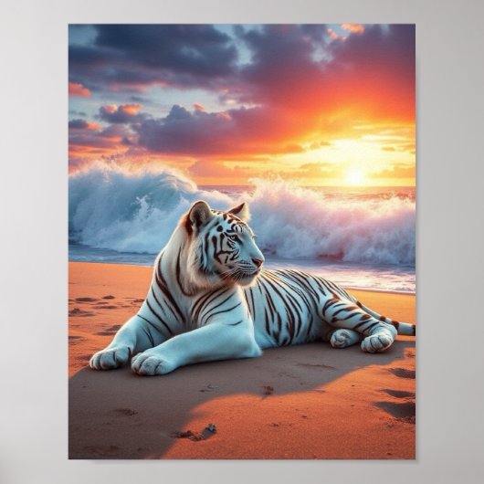 Poster blanc de tigre (Devant)