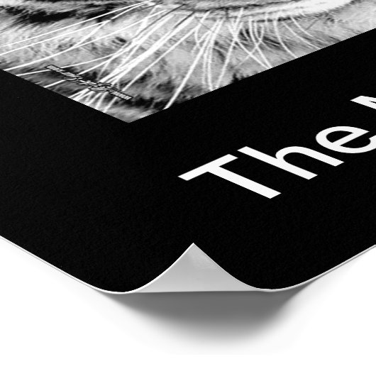 Poster blanc de tigre (Coin)