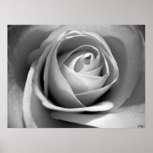 Poster Blanc doux, S Cyr