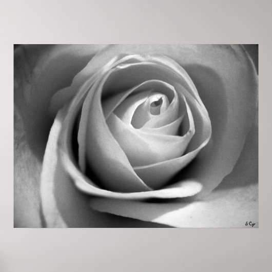 Poster Blanc doux, S Cyr (Devant)