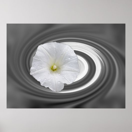 Poster blanc et gris (Devant)