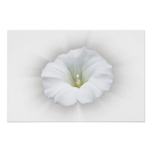 Poster blanc et nuances de gris (Devant)