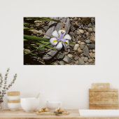 Poster Blanc et pourpre (Cuisine)