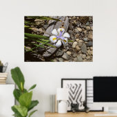 Poster Blanc et pourpre (Bureau à domicile)