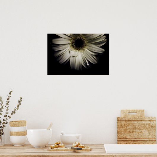 Poster Blanc Gerber Daisy (Cuisine)