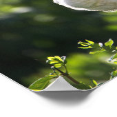 Poster blanc Ibis (Coin)