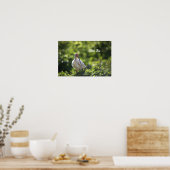 Poster blanc Ibis (Cuisine)