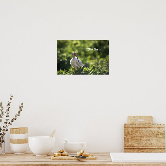 Poster blanc Ibis (Cuisine)