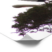 Poster blanc Ibis dans l'arbre (Coin)