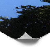 Poster blanc Ibis Spreading Wings (Coin)