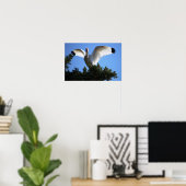 Poster blanc Ibis Spreading Wings (Bureau à domicile)