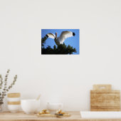 Poster blanc Ibis Spreading Wings (Cuisine)