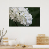 Poster blanc Lilacs (Cuisine)