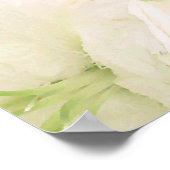 Poster blanc Lilies (Coin)