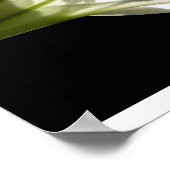 Poster blanc Lily 2 (Coin)